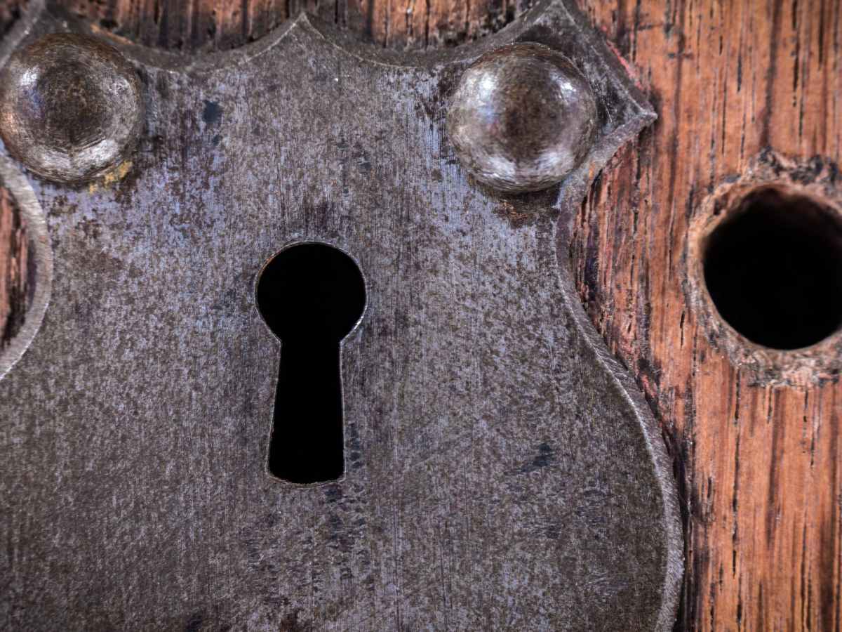 Imposed Will: Part Two