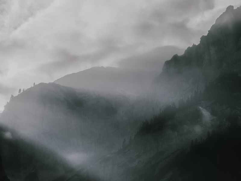 The Heart of Something Wild: Part One