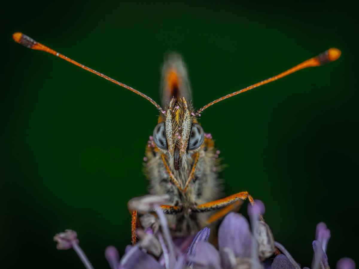 It’s Tough to Be a God: Part Four