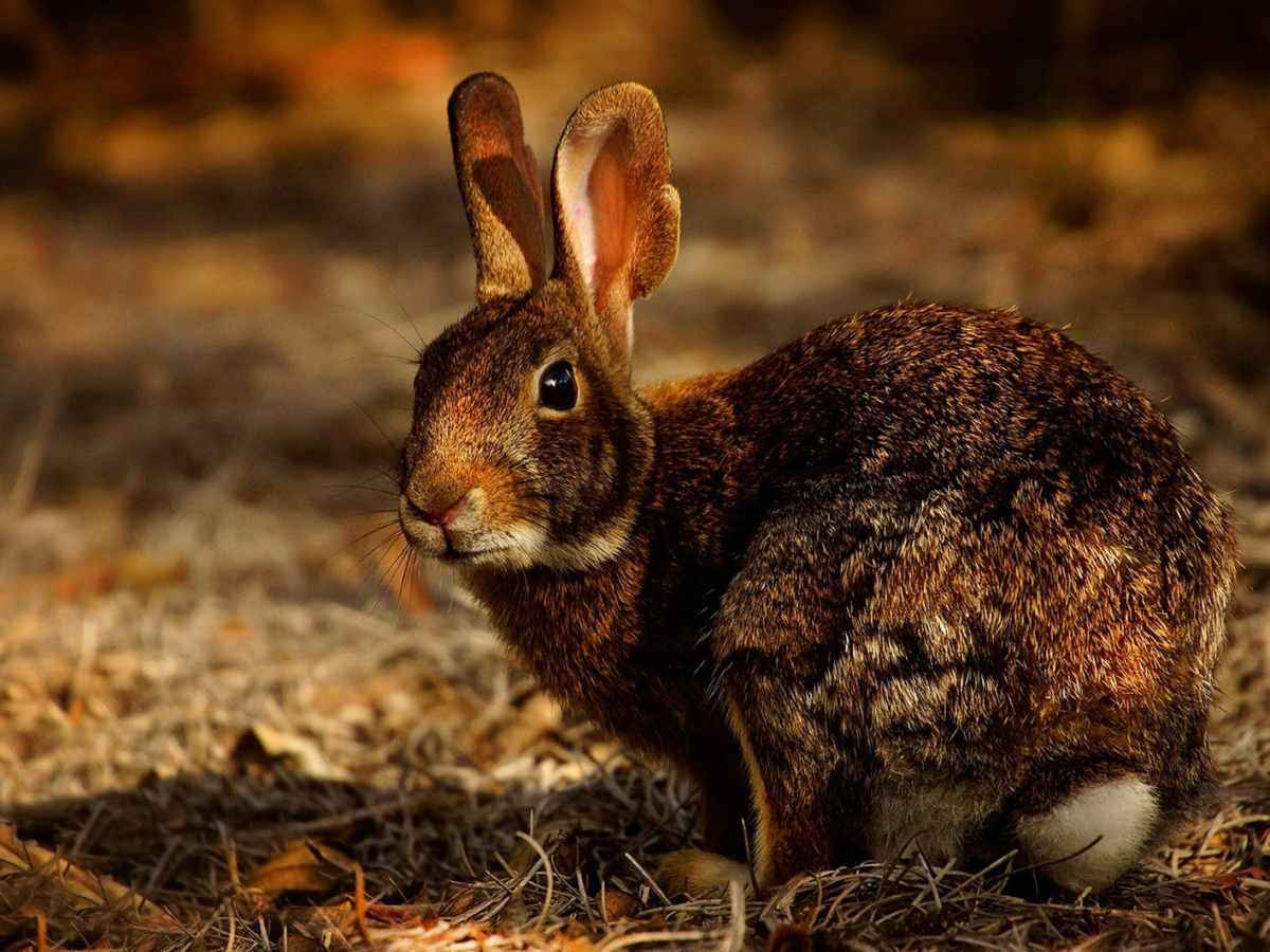 Slow and Easy, Then Sudden: Part Three