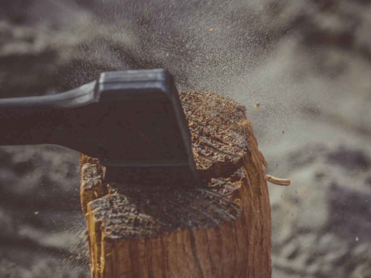 The Favored Son: Alternate- Part Ten