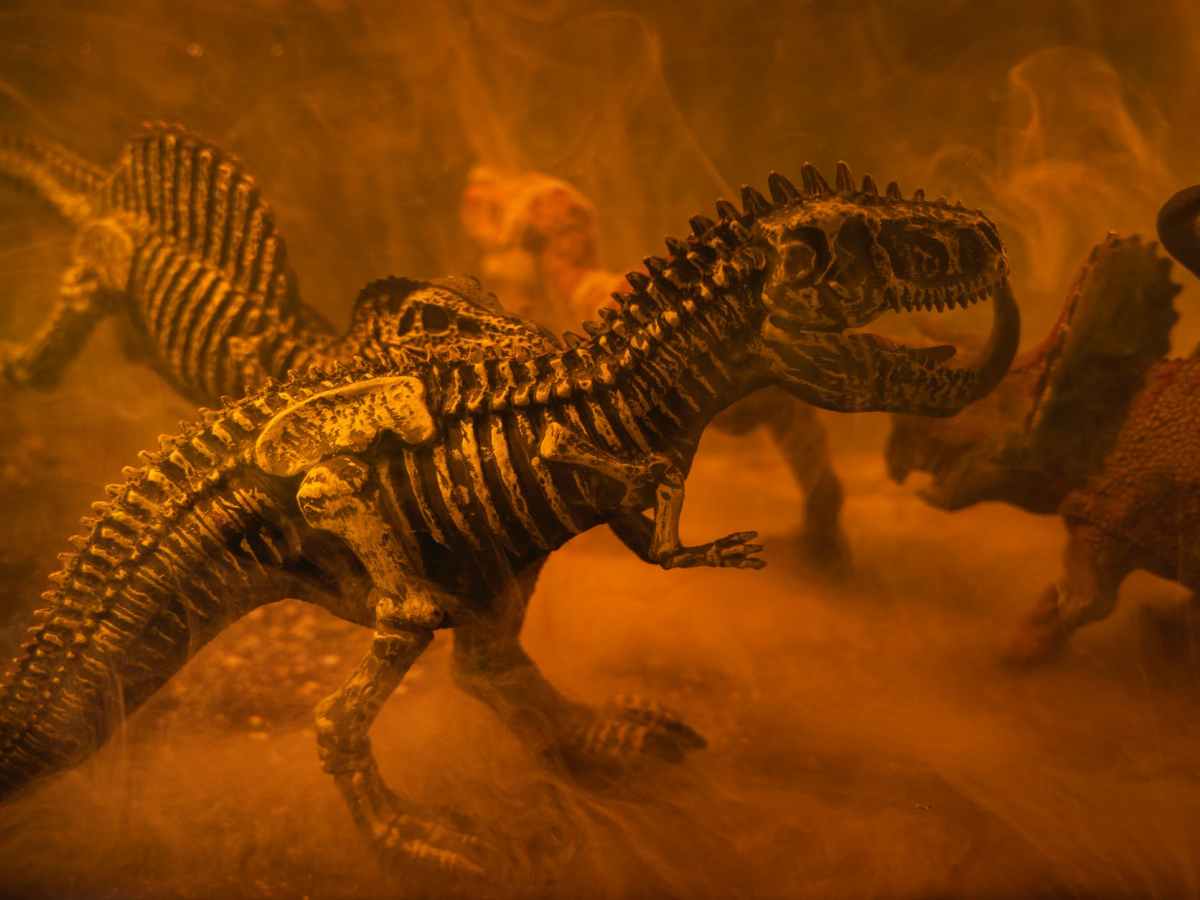 The Time Travel Situation: Part Two