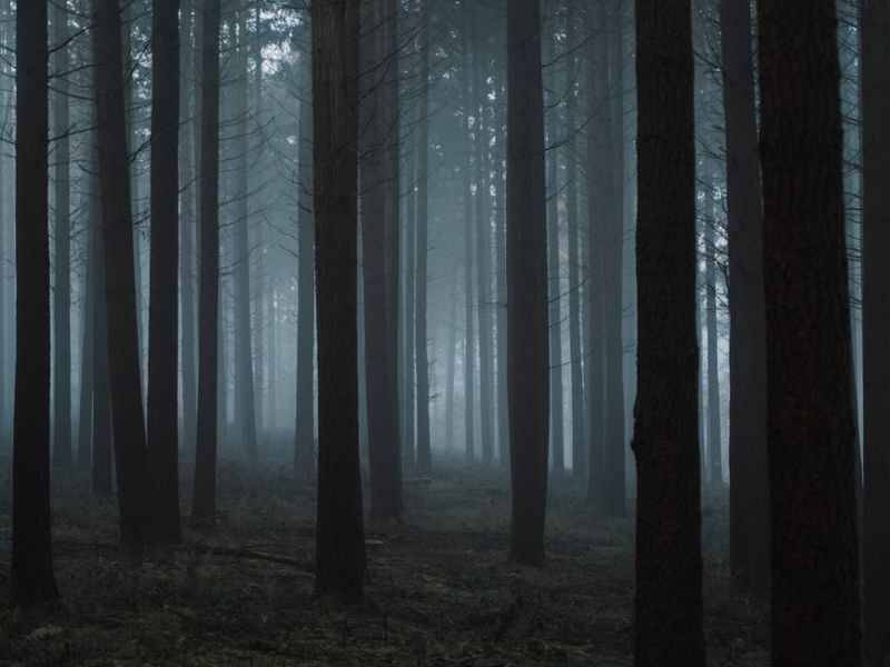 The Salt Worms: Part Six