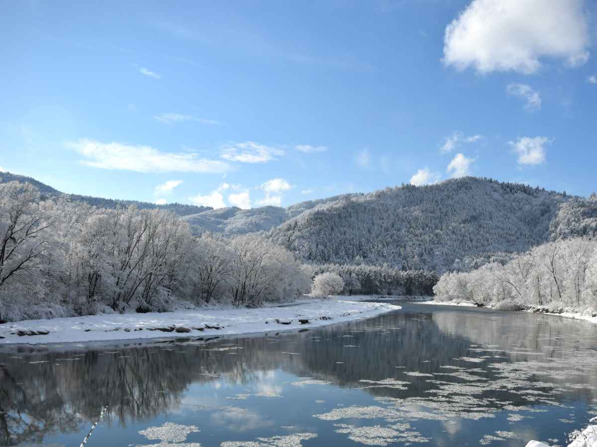 Hunt of the Others: Part One