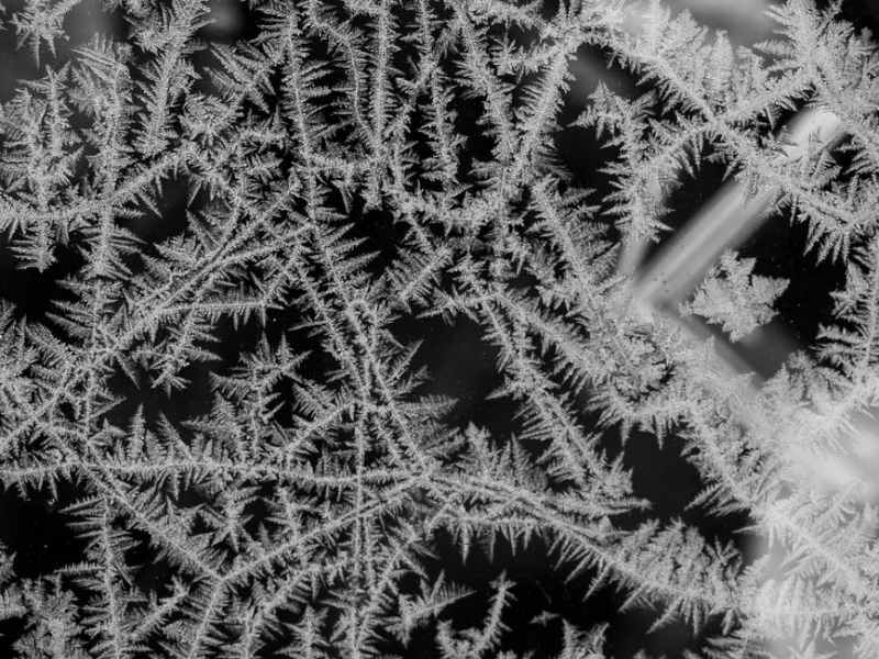 Hunt of the Others: Part Five