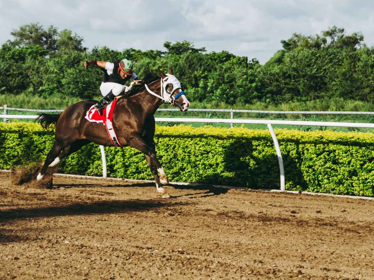 The Late Letter: Part Two