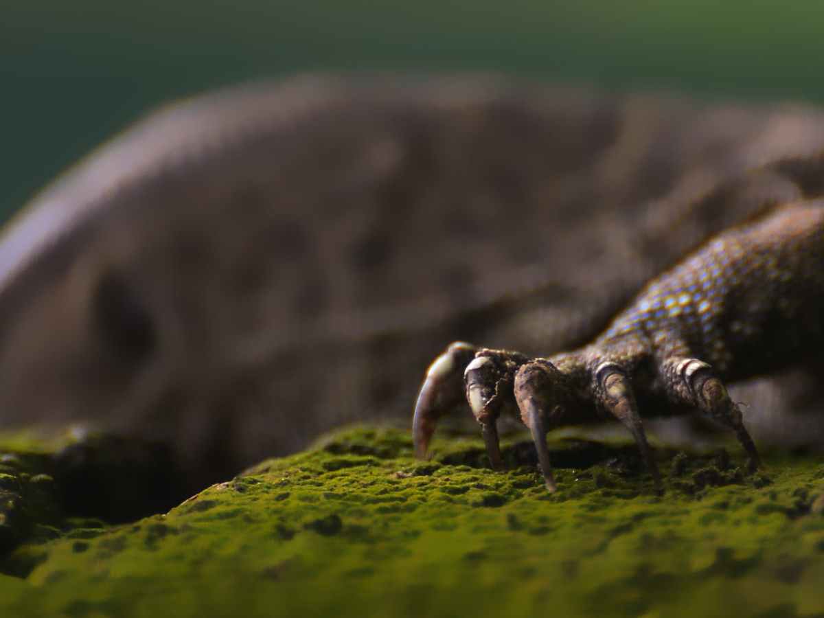 Hunt of the Others: Part Four