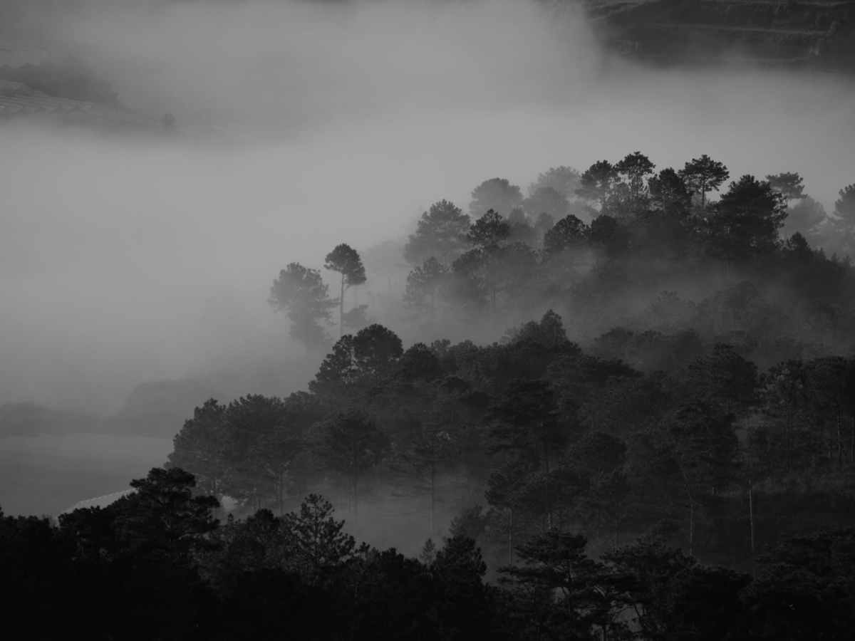 The Tangible Dark: Part Two